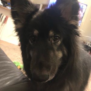 Meet your Posher, Derek